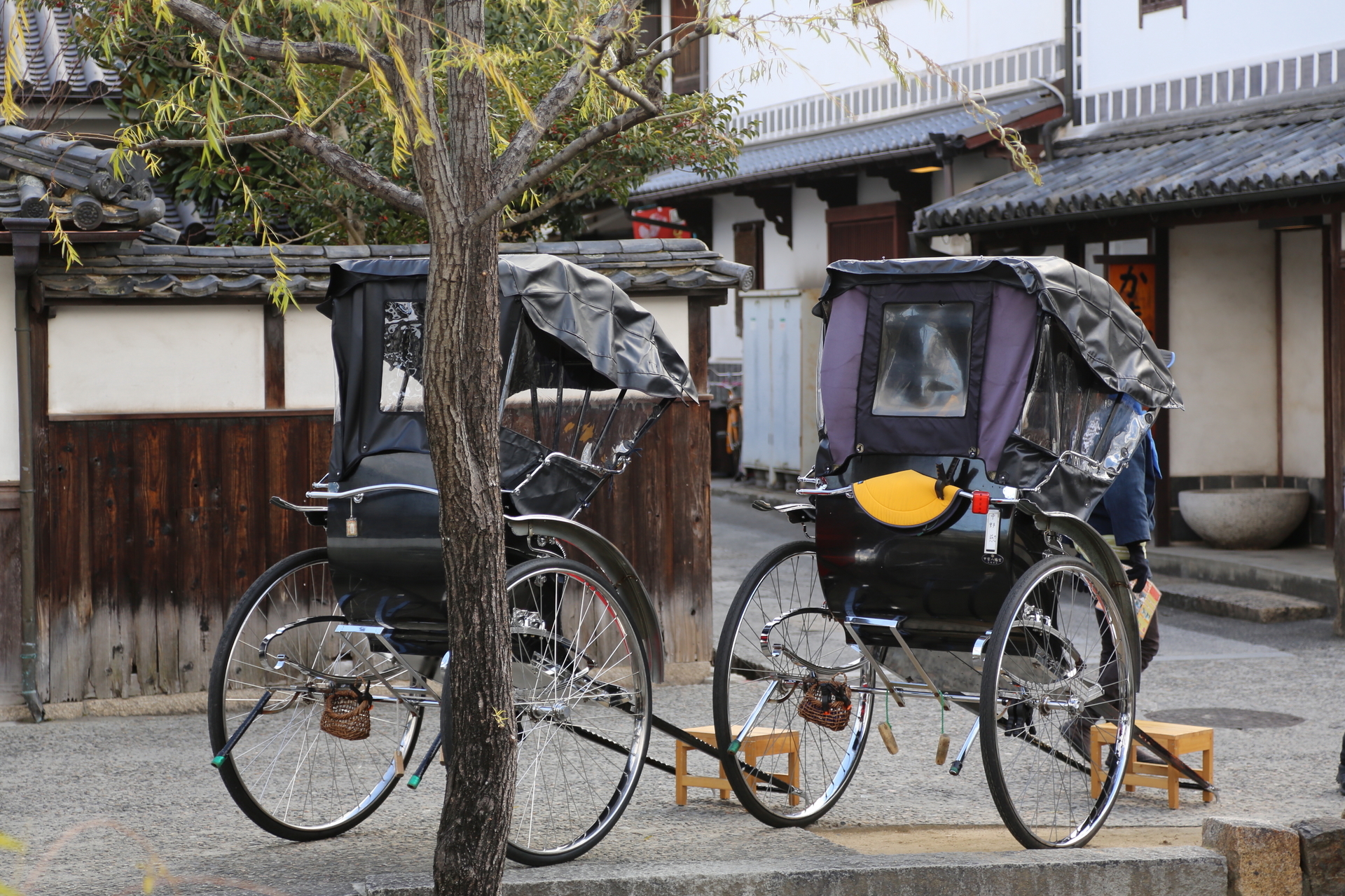 鴛鴦 ｵｼﾄﾞﾘ 力車 ﾘｷｼｬ 写真とイラストが奏でる心の詩 うた